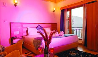 Hotel Alpine Musk - Kanatal - 4