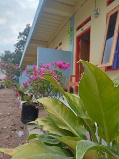 D'Flores Guest House - Labuan Bajo - 8