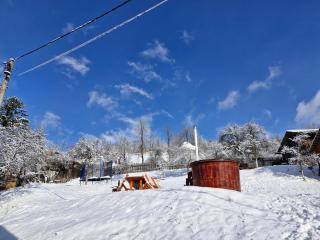 Pensiunea Cabana Viselor ,Apuseni - 8