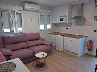 Apartamentos De la Haya & Suite con Jacuzzi, junto al Teatro Romano - Mérida - 9