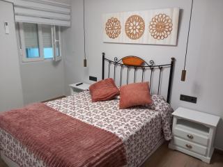 Apartamentos De la Haya & Suite con Jacuzzi, junto al Teatro Romano - Mérida - 7