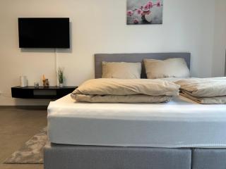 modernes Apartment in guter Lage - Ingolstadt - 5