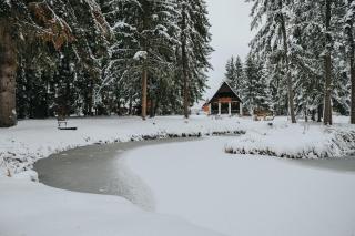 Lake House - Izvoru Mureşului - 4