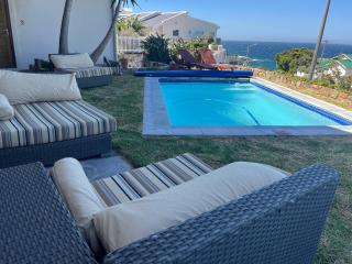 Simons Town penquins - Cape Town - 1