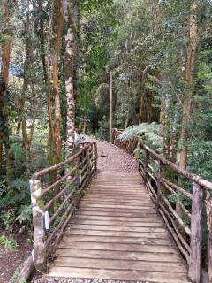 Cabaña Familiar Puerto Montt - 3