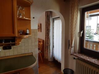 Traumhafte Wohnung im Herzen von Zwiesel mit Garten - Zwiesel - 2