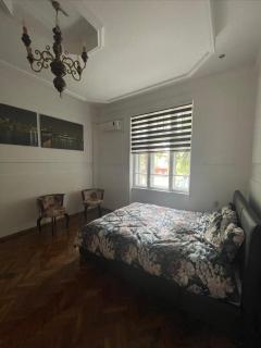 "Apartman Car" new on booking - Odžaci - 5