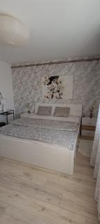 Apartman Kozarčeva - Varaždin - 0