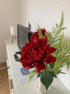 Ferienwohnung-Brunken-Rust - 6