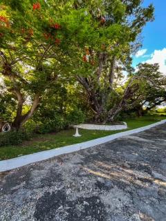 York House - Bridgetown - 8