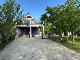Tianeti Purple Villa - 7