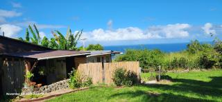 Sunrise Farm Cottage II - 180 Degree OceanViews Stargazing Whale Watching on Hamakua Coast Hawaii - Papaaloa - 9