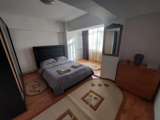 Cazare apartament Craiova - Craiova - 6