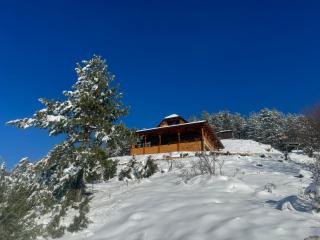 Vikend kuca Panorama - Bajina Bašta - 2
