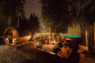 The Sopa - heritage premium houses - Zakopane - 5