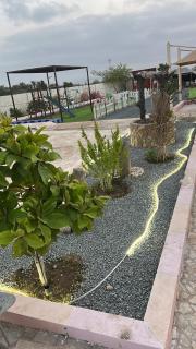 Shinas Farm - Al Hāmilīyah - 3