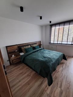 Apartament Fredry - Nowa Sól - 3