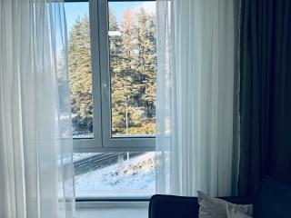 Milanovic Apartman - Kopaonik - 8