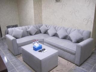 العين الهيلي مصباح ب 7 - 6