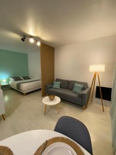 Le Girouard - City Center - Private Parking - WIFI, NETFLIX - Poitiers - 0