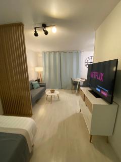 Le Girouard - City Center - Private Parking - WIFI, NETFLIX - Poitiers - 6