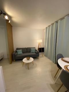 Le Girouard - City Center - Private Parking - WIFI, NETFLIX - Poitiers - 9