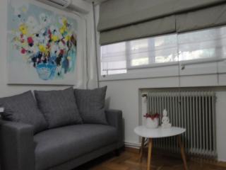 Lux Studio Apartment at Kolonaki - Atene - 8