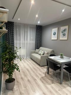 Apartament Niedurnego 38 - Ruda Śląska - 0
