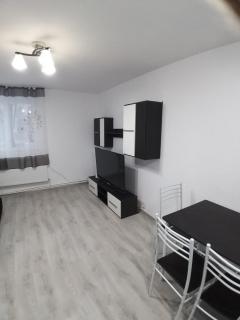 Apartament Ski Straja Lupeni - Lupeni - 6