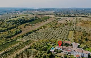 Three-Bedroom Holiday Home In Brtonigla - Brtonigla - 4