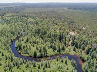 Hazel's Goose Creek Lodge - Private Riverfront! - Grayling - 6