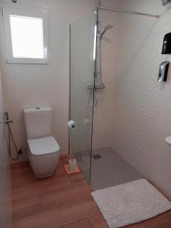 Apartamentos De la Haya & Suite con Jacuzzi, junto al Teatro Romano - Mérida - 4