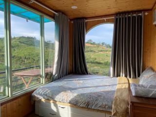 Gạo hạt dẻ homestay - Bảo Lộc - 9