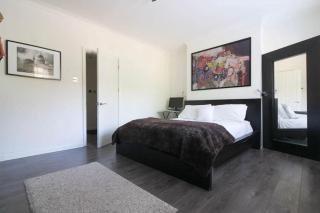 Spacious 2 bedroom apartment in London - Londra - 4