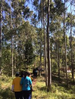 Cabana Della Vittoria Parque - 9