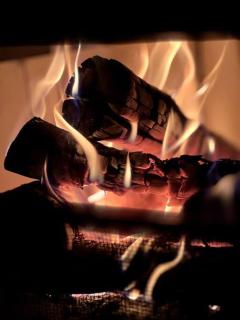 Casa na Floresta - 50 min do Rio - 1