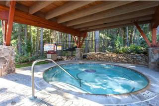 Luxury 3 BDR Northstar Condo - 1