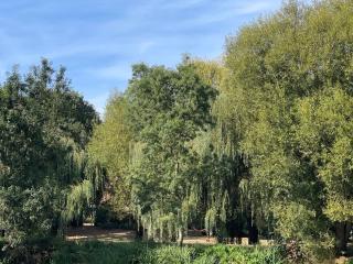 Grand gîte près du Mans avec piscine, cheminée et animaux - FR-1-410-217 - Chemiré-le-Gaudin - 2