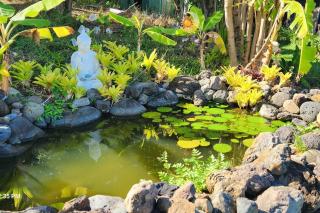 Sunrise Farm Cottage I - 180 Degree OceanViews Stargazing Whale Watching on Hamakua Coast Hawaii - Papaaloa - 9