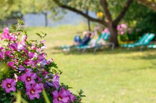 Gasthaus Hotel Höhenwirt - 1