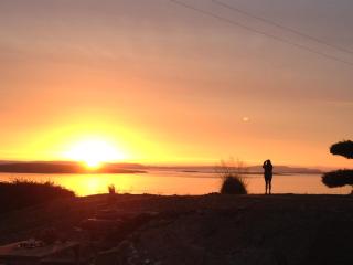 Rock Hill House - Schull - 3