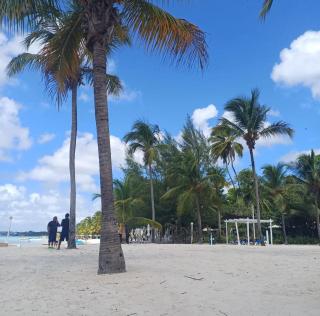 Hannabi Beach Hotel - Boca Chica - 8