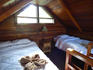 Corcovado Beach Lodge - Puerto Jiménez - 6