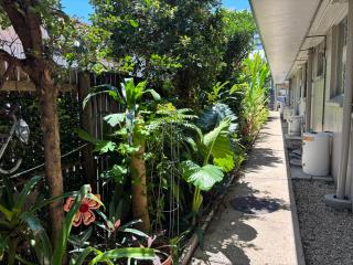 Tropical Ground-Floor Retreat Cairns - Cairns North - 1