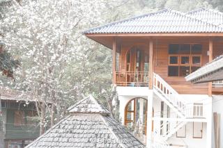 วิลล่า ป่าเหมี้ยง Villa Pa Miang - - 3