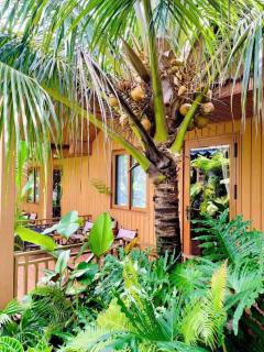 Cherry homestay phòng đôi lớn - Buôn Ðũng - 2