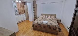 Amedeea Accomodation - Timişoara - 9