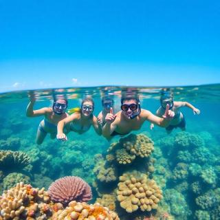 red sea excursion - - 3