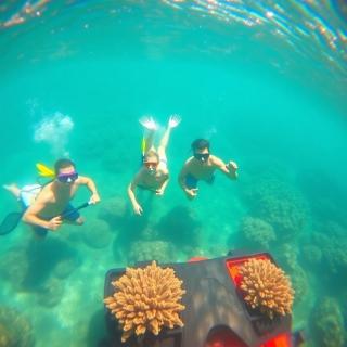 red sea excursion - - 2