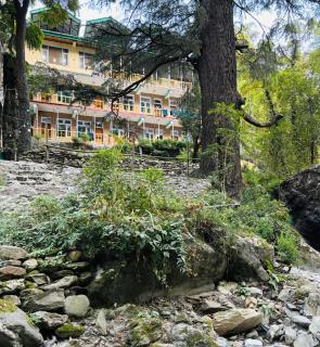 The Nature's Vault Jibhi - 4